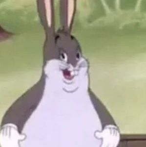 Meet your Posher, Rohin